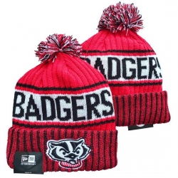 Wisconsin Badgers NCAA Beanies 001